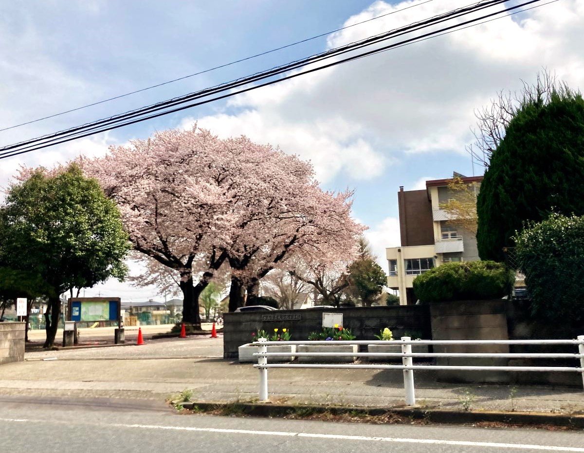 【小山市犬塚のアパートの小学校】