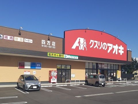 【富山市四方北窪のアパートのドラックストア】