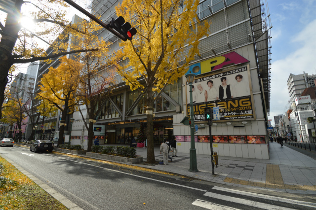 その他　ＯＰＡ（その他）まで800m