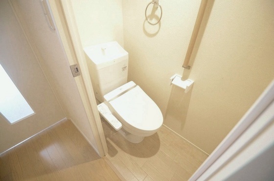 トイレ　他号室のお写真です