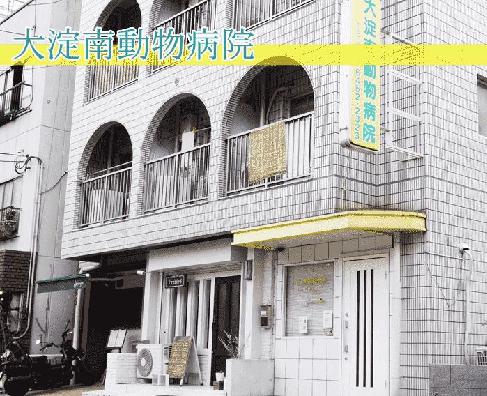 病院　大淀南動物病院（病院）まで824m