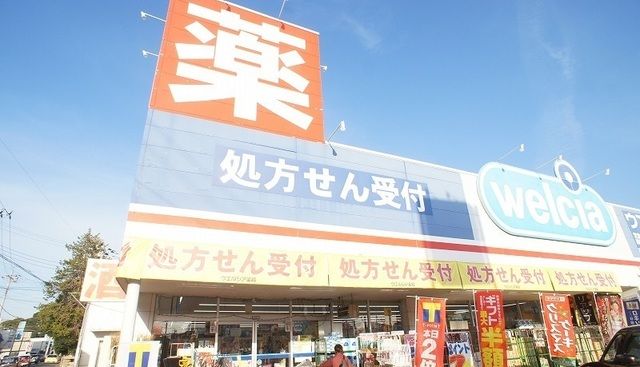 ドラックストア　ウエルシア飯能柳町店（ドラッグストア）まで230m