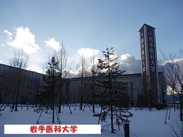 大学・短大　岩手医科大学（大学・短大）まで2400m