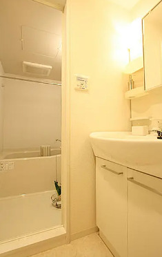 洗面設備　別部屋の画像を使用しております。