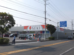 ドラックストア　ドラッグストアセキ南流山店（ドラッグストア）まで218m