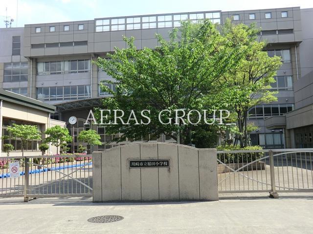 小学校　川崎市立稲田小学校（小学校）まで808m