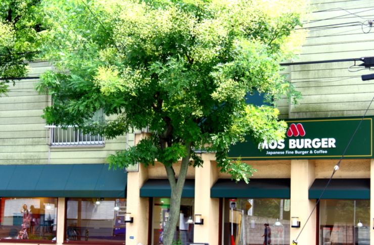 飲食店　モスバーガー洗足池店（飲食店）まで175m