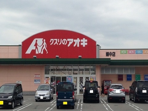 ドラックストア　クスリのアオキ婦中店（ドラッグストア）まで1100m