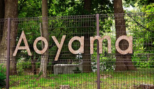 公園　都立青山公園 南地区（公園）まで1402m