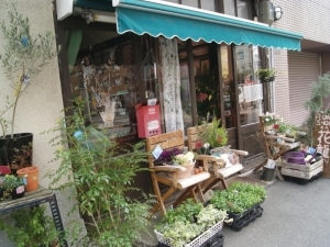 その他　FLOWER SHOP 花龍（その他）まで520m