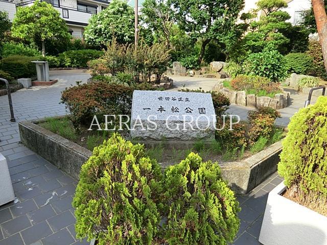 公園　一本松公園（公園）まで216m