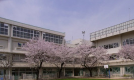 小学校　江東区立八名川小学校（小学校）まで290m