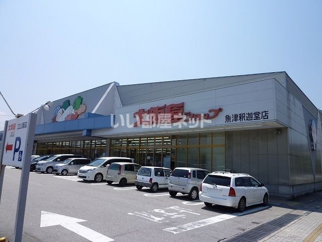 スーパー　大阪屋ショップ　魚津釈迦堂店（スーパー）まで1252m