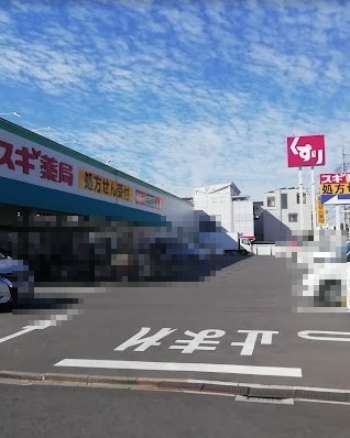 ドラックストア　スギ薬局 城北店 48号店（ドラッグストア）まで537m