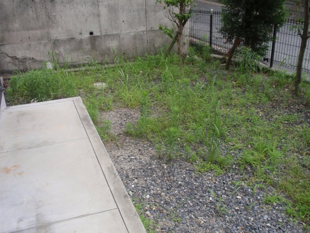 庭