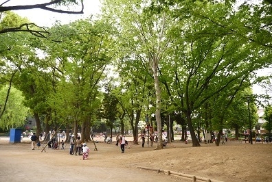 公園　東板橋公園（公園）まで180m