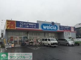 ドラックストア　ウエルシア薬局葛飾奥戸店（ドラッグストア）まで743m