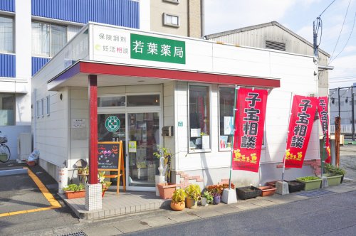 ドラックストア　若葉薬局（ドラッグストア）まで748m