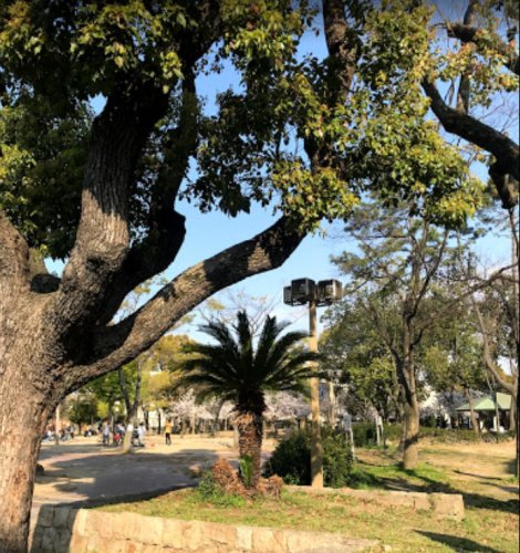 公園　晴明丘中央公園（公園）まで411m