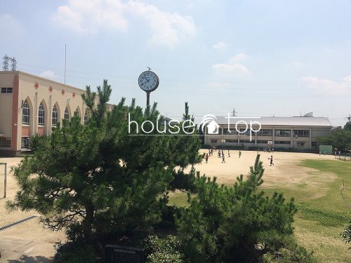 小学校　尼崎市立大庄小学校（小学校）まで266m