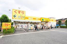 ドラックストア　どらっぐぱぱす 柴又3丁目店（ドラッグストア）まで301m