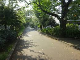 公園　玉川上水旧水路 西原緑道（公園）まで199m