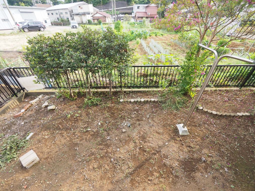 庭