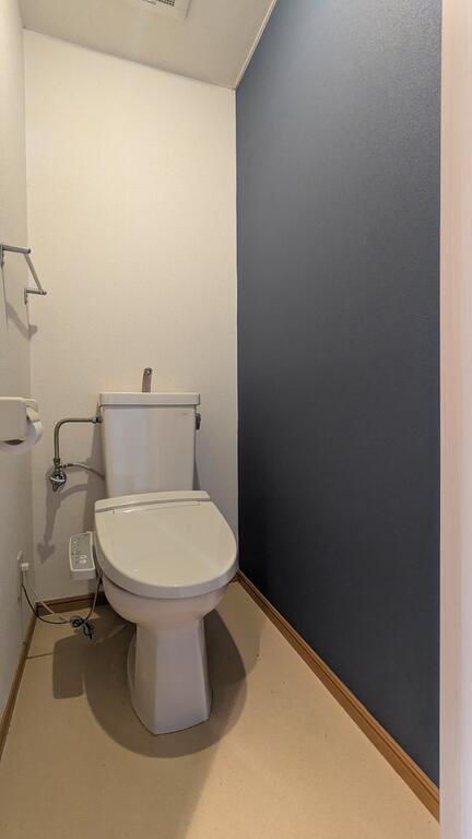 レイクシティ Aのトイレ写真