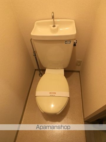 アネックス マルヤマのトイレ写真