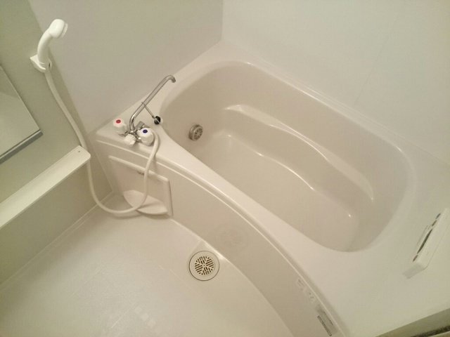 バス・シャワールーム　落ち着いた空間のお風呂です
