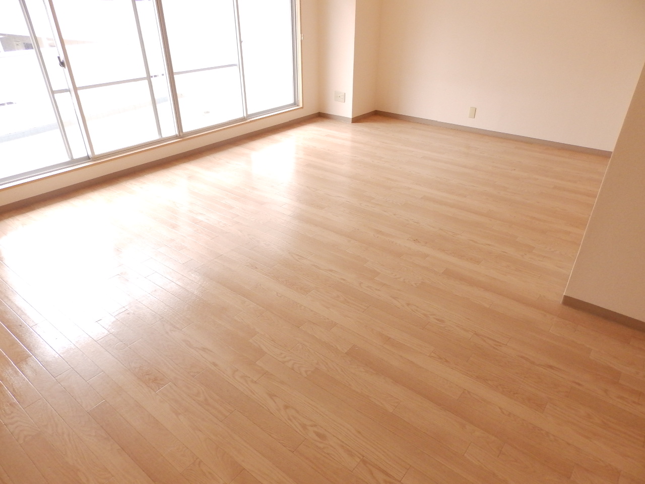 居室・リビング　とっても広いお部屋ですよ