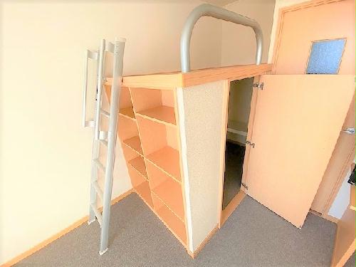 収納　お部屋によって絨毯の色が異なります