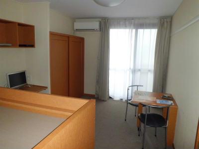 居室・リビング　カーペット敷きの居室です。