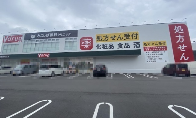 ドラックストア　V・drug下之一色店（ドラッグストア）まで1160m