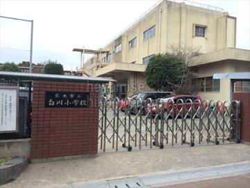 小学校　熊本市立白川小学校（小学校）まで774m
