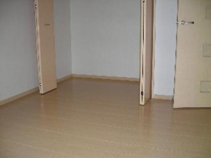 収納　クローゼット付の洋室です☆