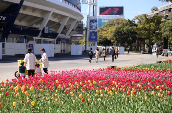 公園　横浜公園（公園）まで700m