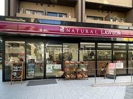コンビニ　ナチュラルローソン南麻布二丁目店（コンビニ）まで43m