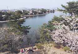 公園　白水大池公園（公園）まで1739m