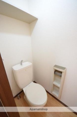 サンデューク恋ヶ窪IIのトイレ写真