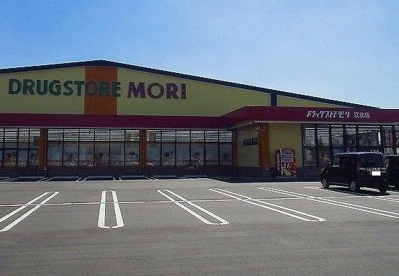 ドラックストア　ドラッグストアモリ江北店（ドラッグストア）まで450m