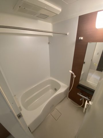 バス・シャワールーム　ロジュマン湘南 ＊別部屋参考