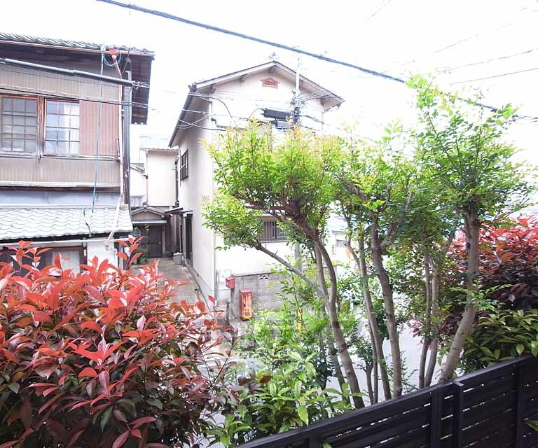 眺望　目隠しの木々が植わっています