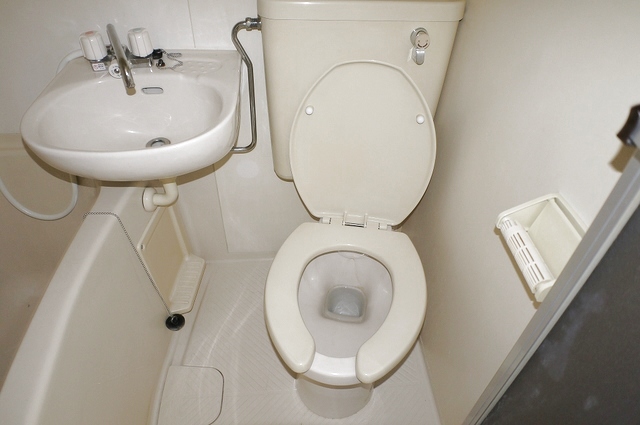 ダイアパレス上野のトイレ写真