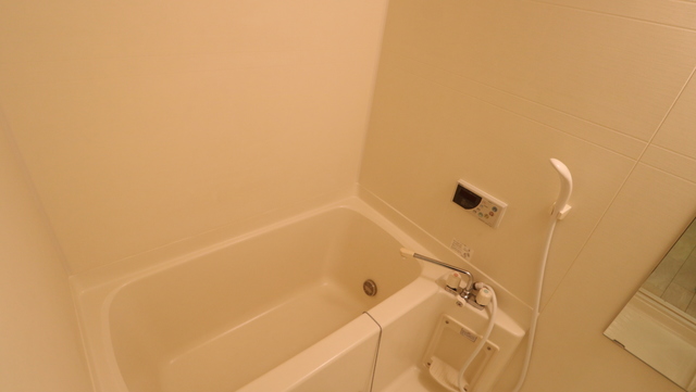 バス・シャワールーム　別のお部屋の写真です。