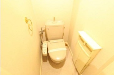グリーンライン 北山田駅 徒歩18分 2階建 築28年のトイレ写真