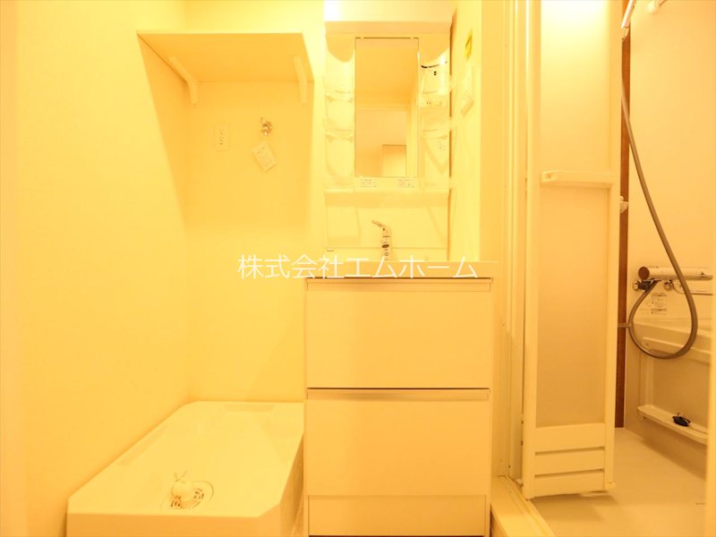 洗面設備　脱衣所　独立洗面台（シャンプードレッサー付）収納スペース有