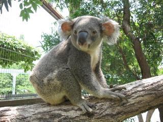 その他　名古屋市東山動植物園（その他）まで906m