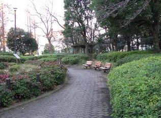 公園　目黒区民センター公園（公園）まで242m