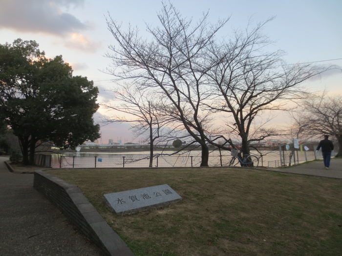 公園　水賀池公園（公園）まで300m